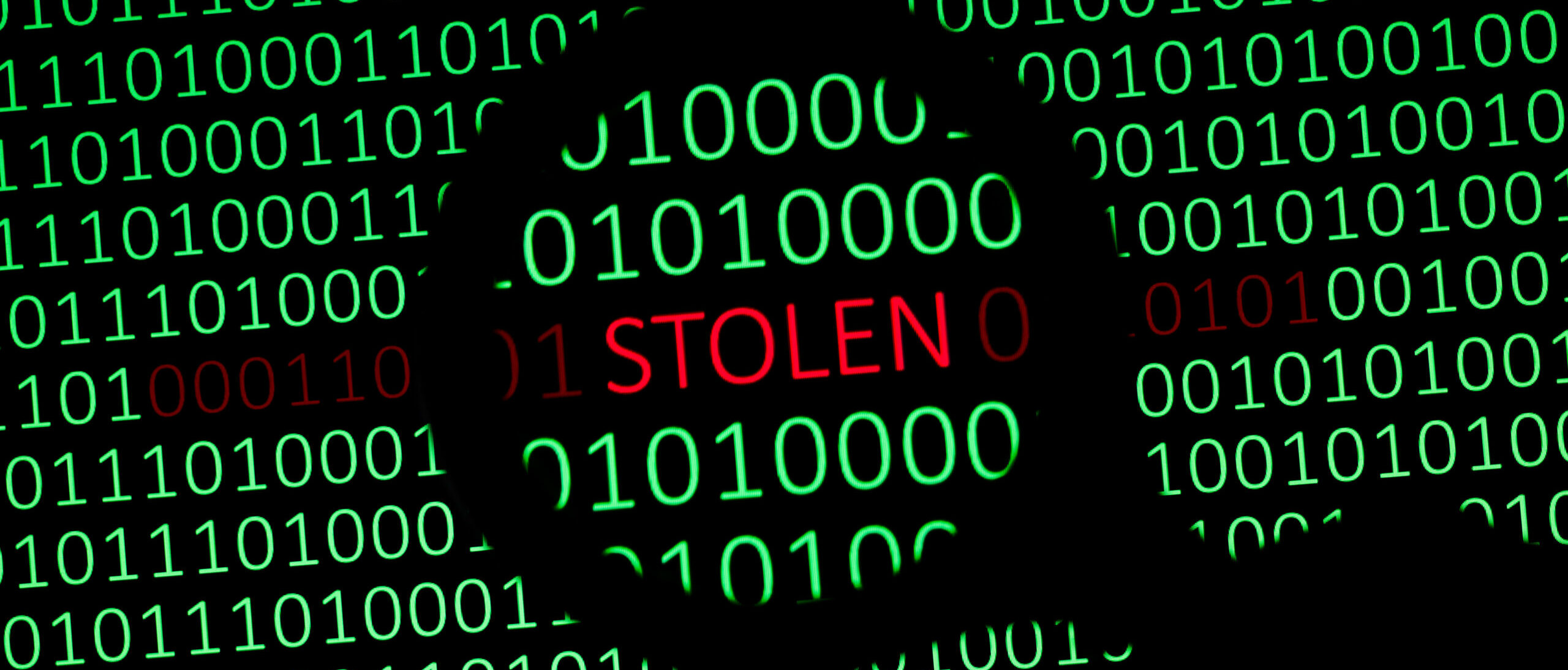 Stanley Steemer Data Breach Investigation